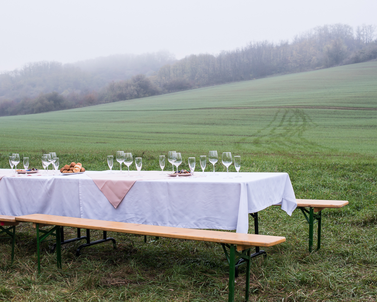 Lunch Table in Field